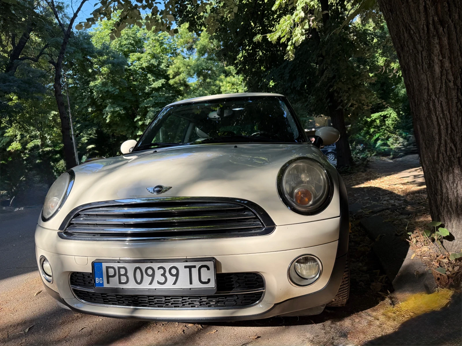 Mini D one