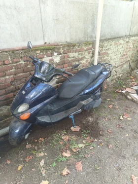     Yamaha Majesty
