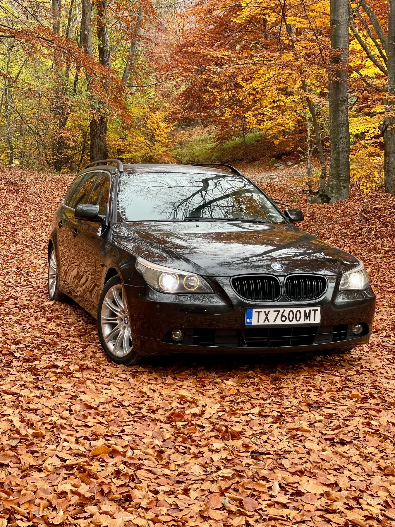 BMW 525 М54, снимка 1