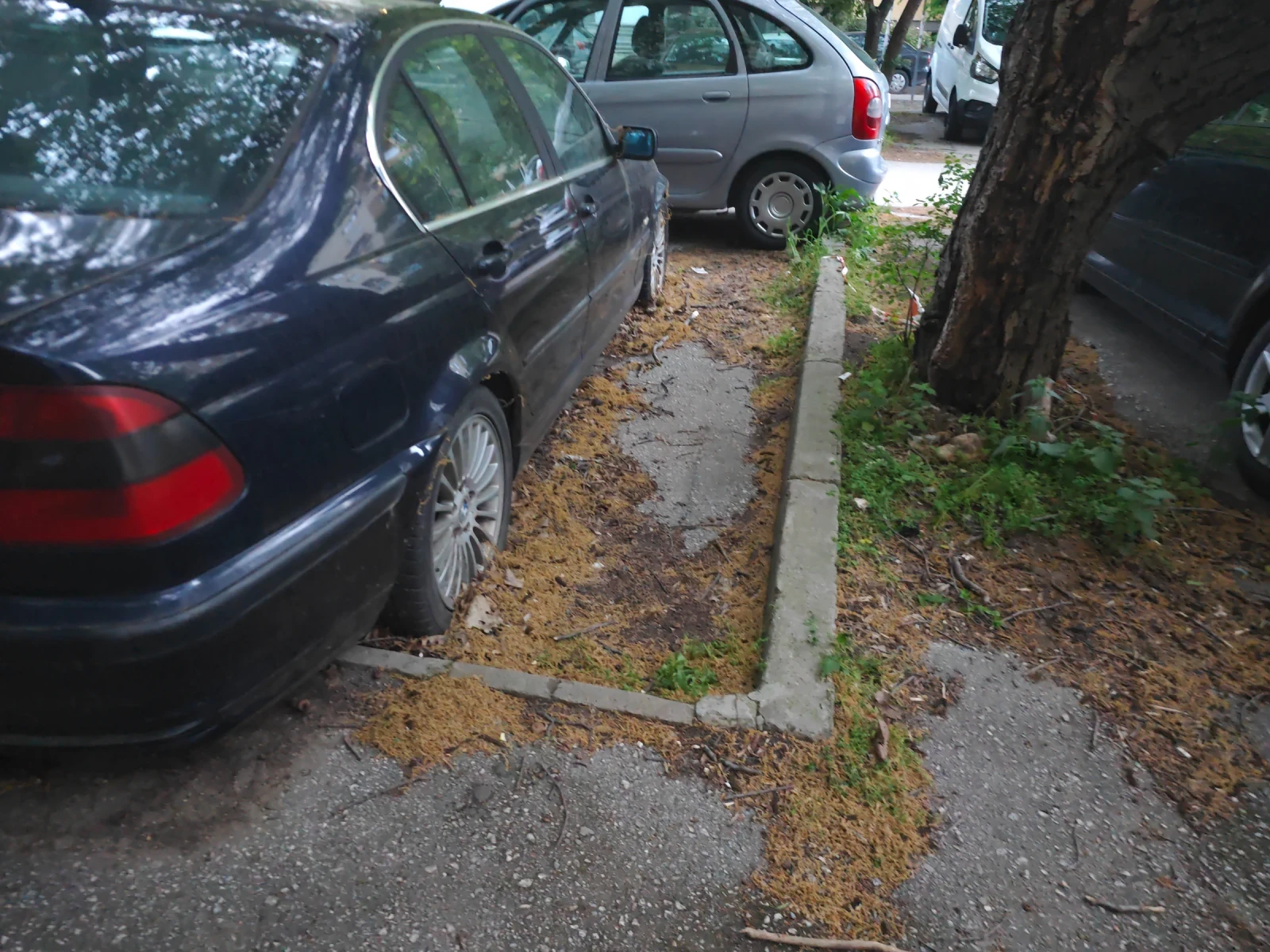 BMW 330, снимка 3 - Автомобили и джипове - 54609947