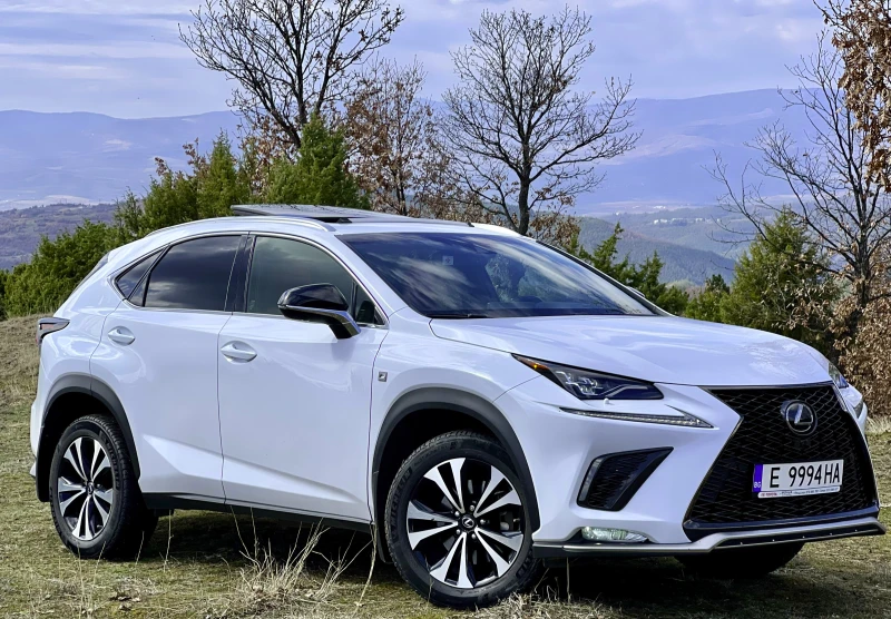 Lexus NX 300h F Sport, 2.0 Turbo