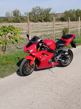 Triumph Daytona 675 | Mobile.bg    1