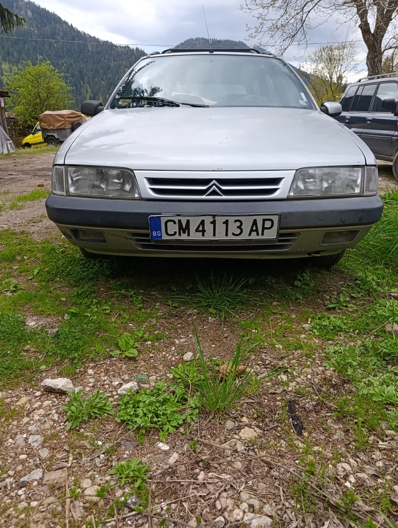 Citroen Zx