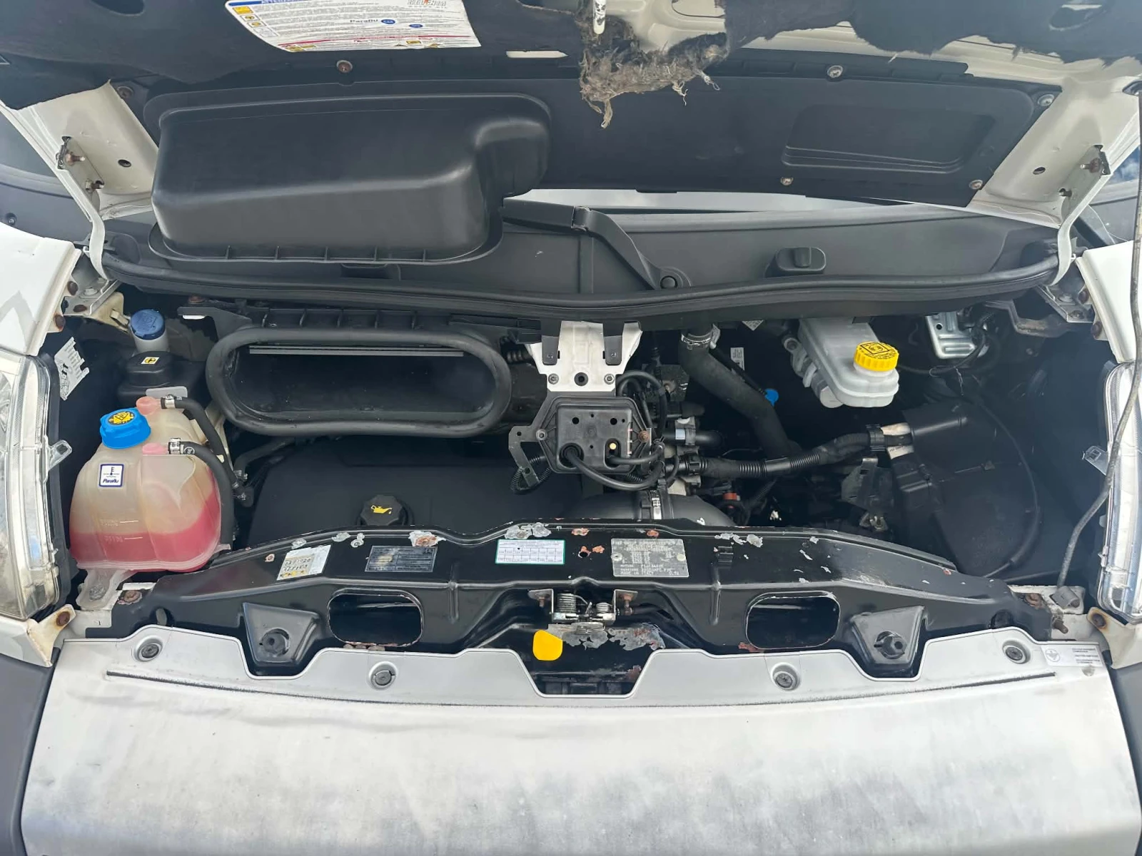Fiat Ducato 2.3HPI* XXL* JUMBO* ��������* �����* ���� 5* 6�� | Mobile.bg � ����������� 8