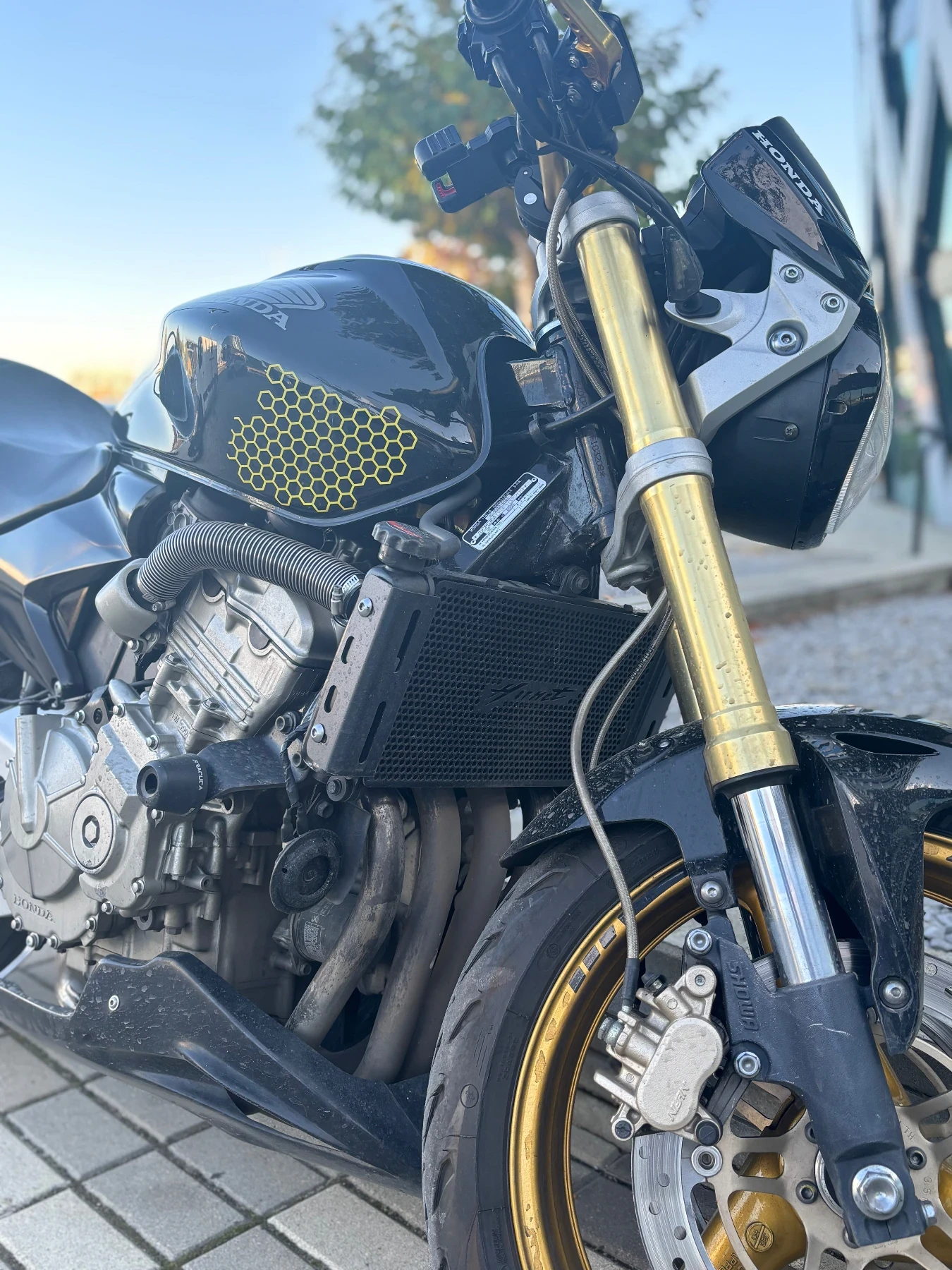 Honda Hornet PC 36 600 - изображение 5