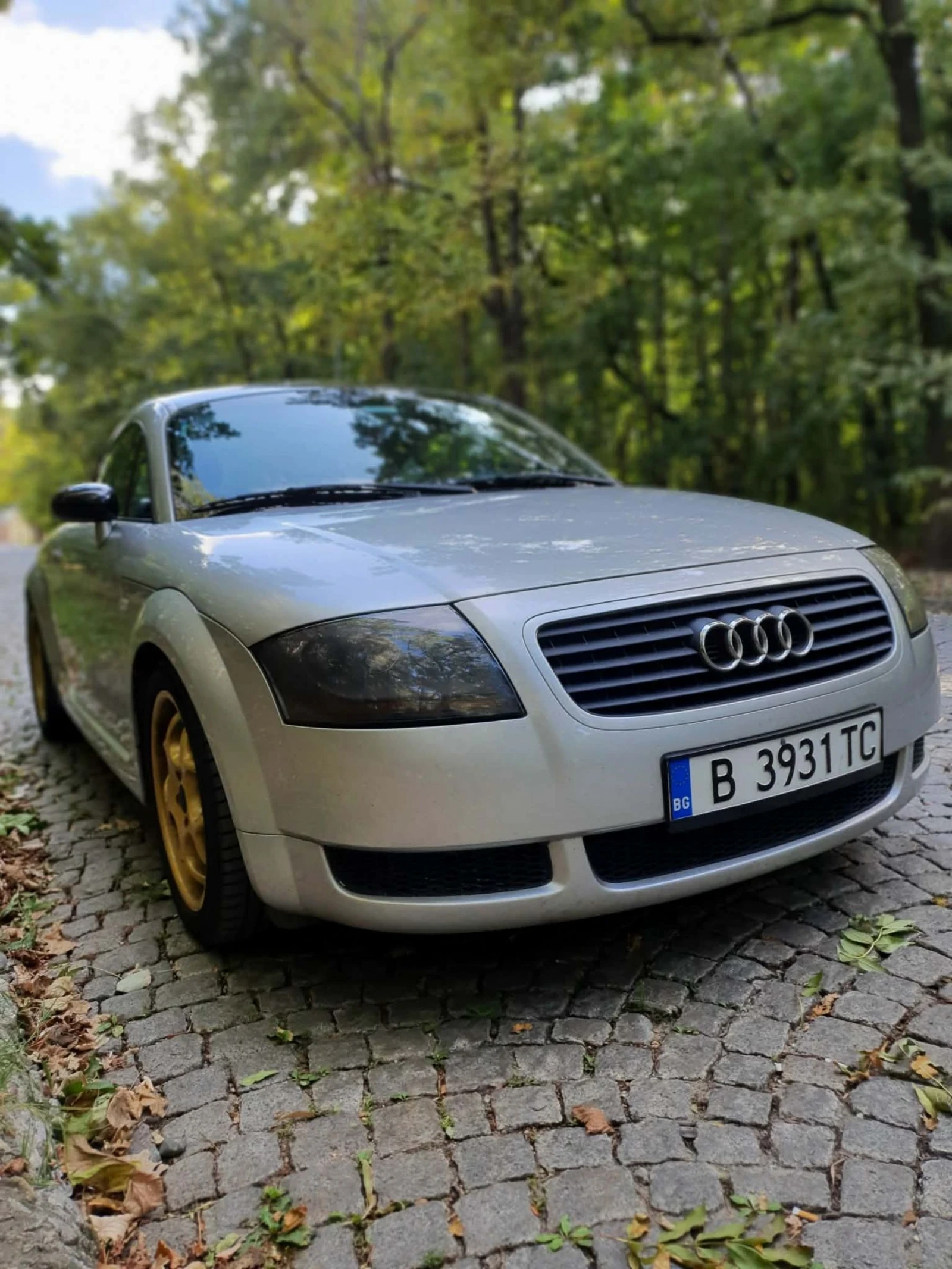 Audi Tt 1.8T, снимка 6 - Автомобили и джипове - 54178093