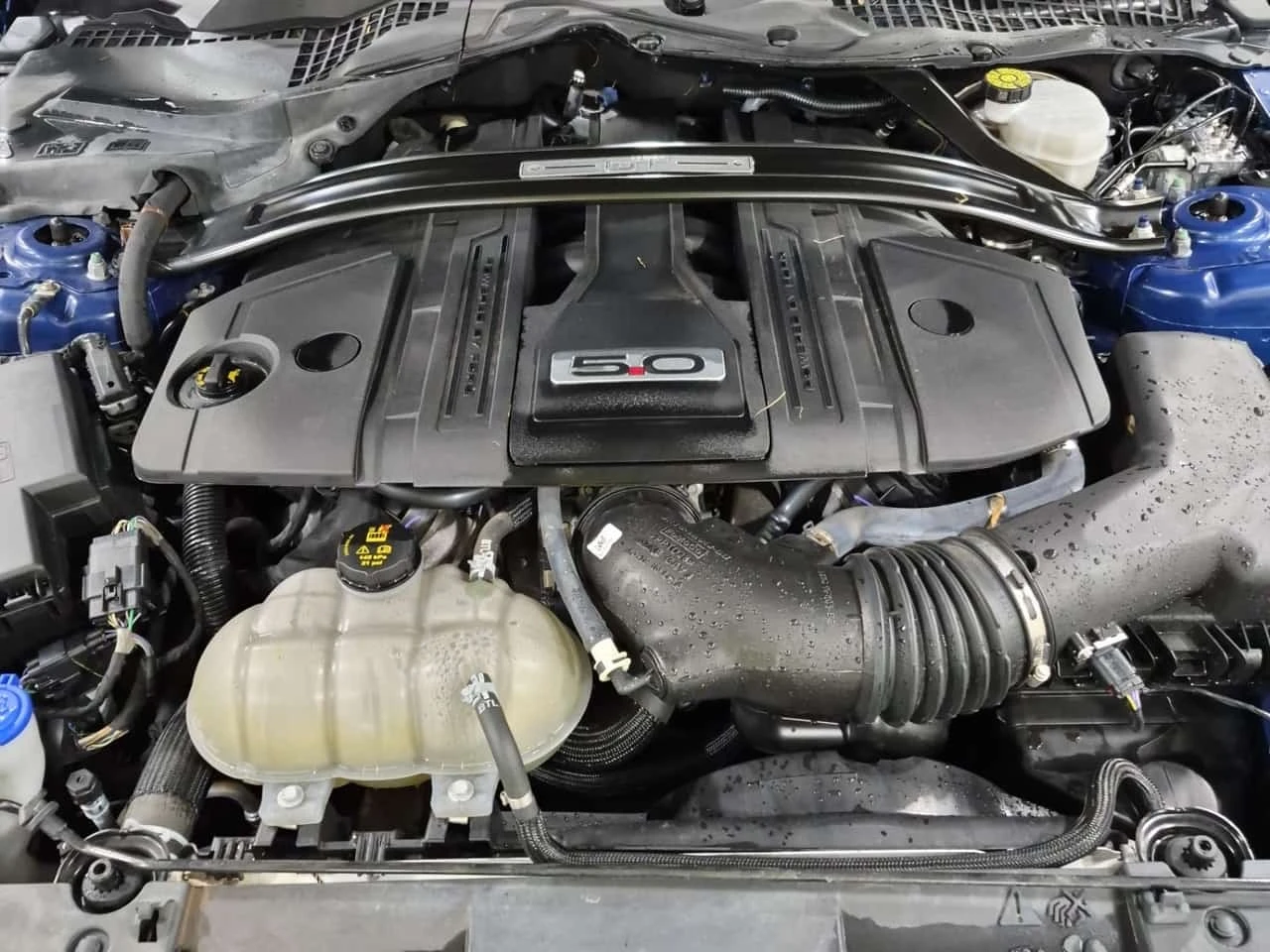 Ford Mustang Fastback Gt Premium* ����������*  | Mobile.bg � ����������� 16