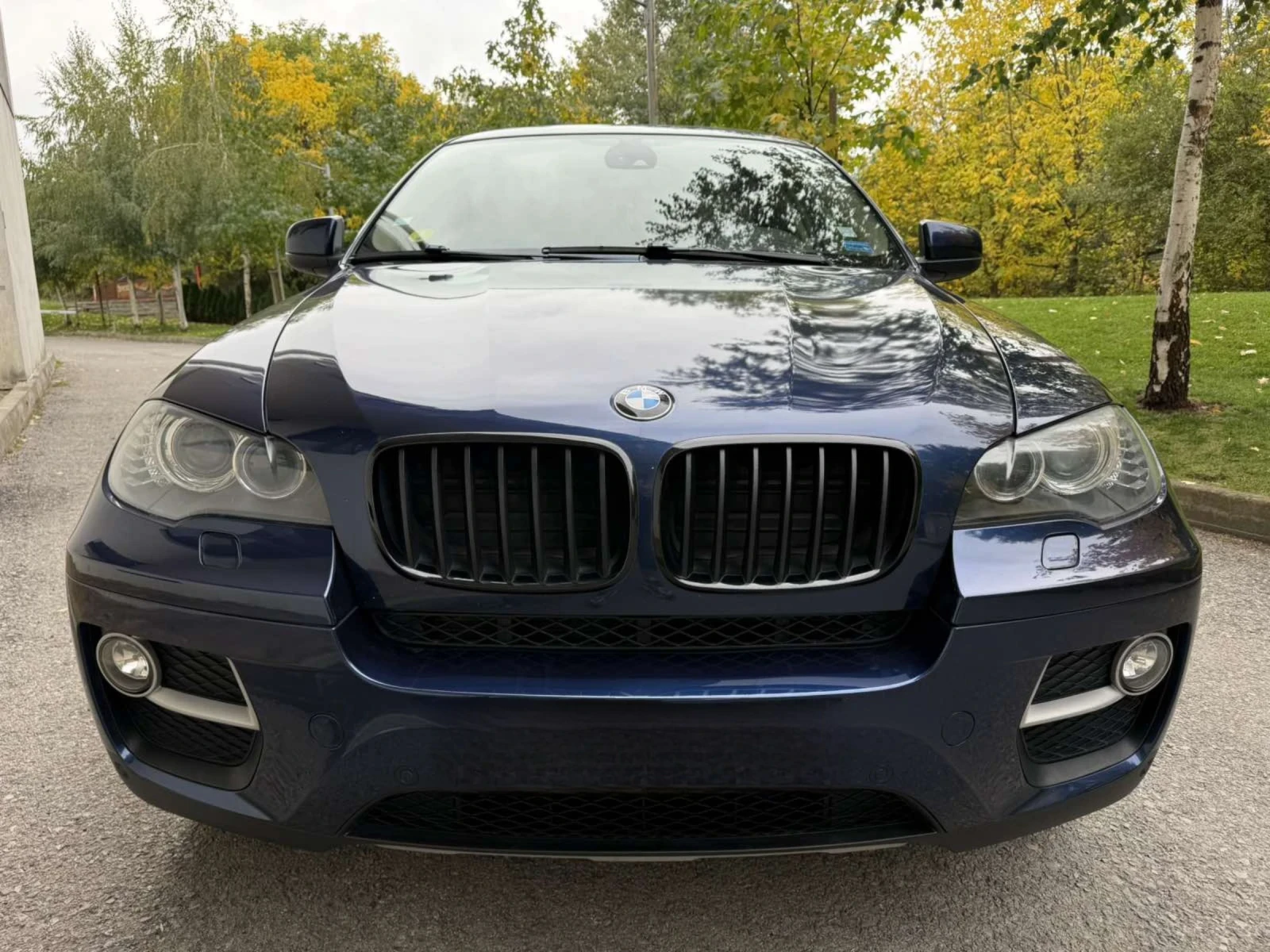 BMW X6 3.0d / FACE - изображение 2