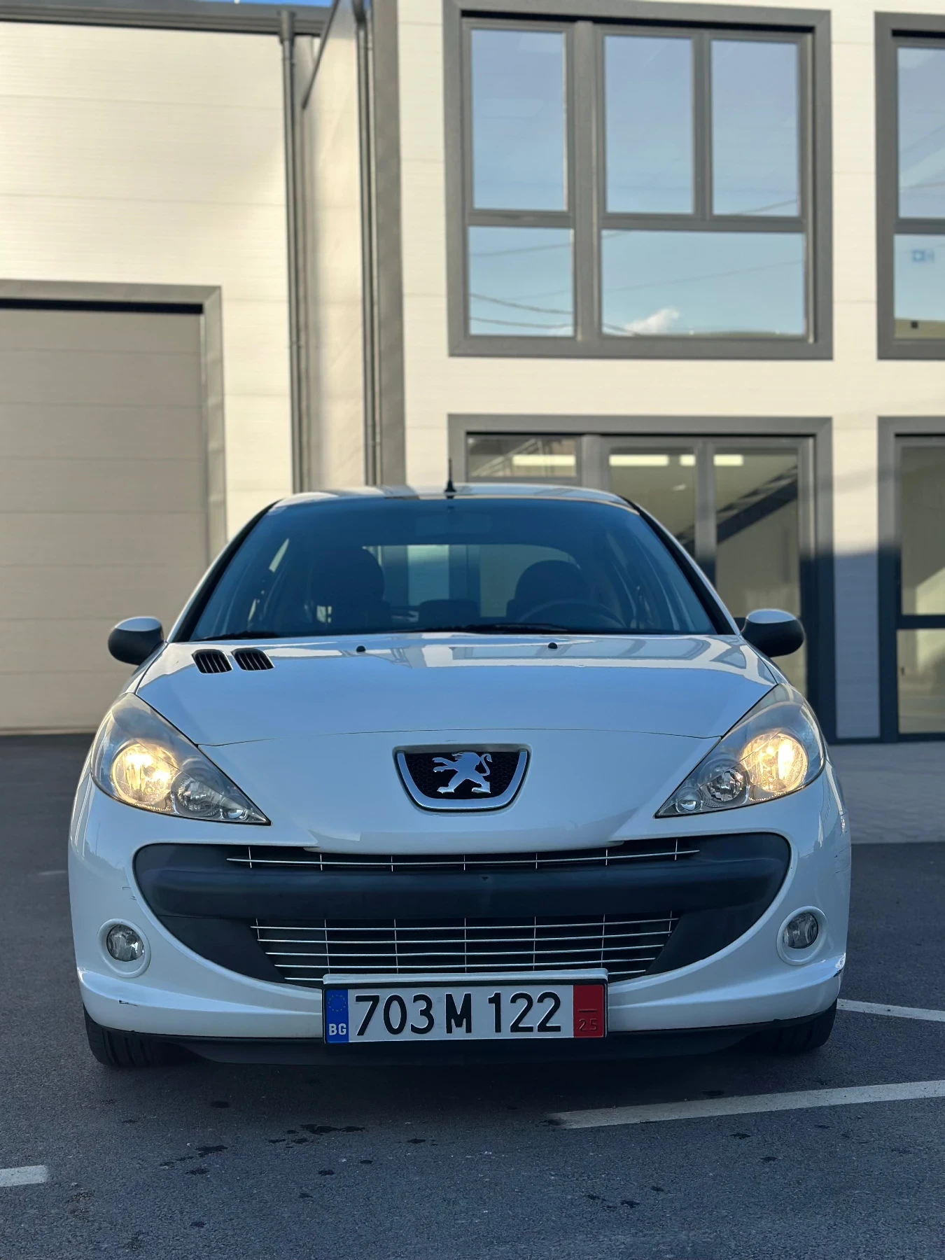 Peugeot 206 Peugeot 206 plus FACELIFT - изображение 3