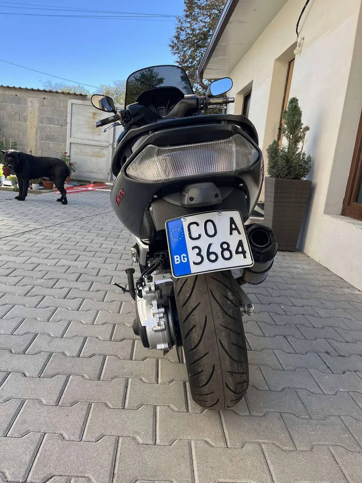 Yamaha T-max Black max - изображение 2