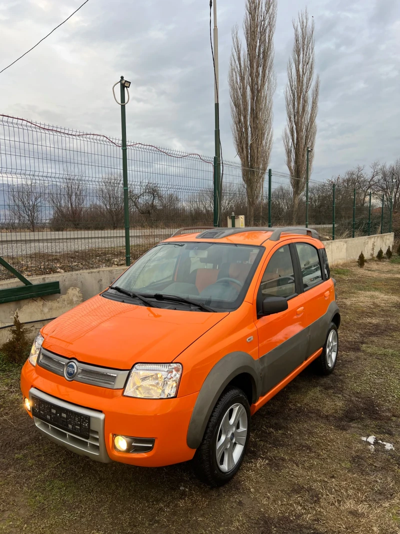 Fiat Panda Cross 1.3 JTD, снимка 1 - Автомобили и джипове - 48838235