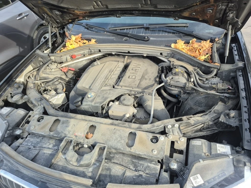 BMW X3 * XDRIVE35I * CARFAX * ���� �� �� | Mobile.bg � ����������� 14