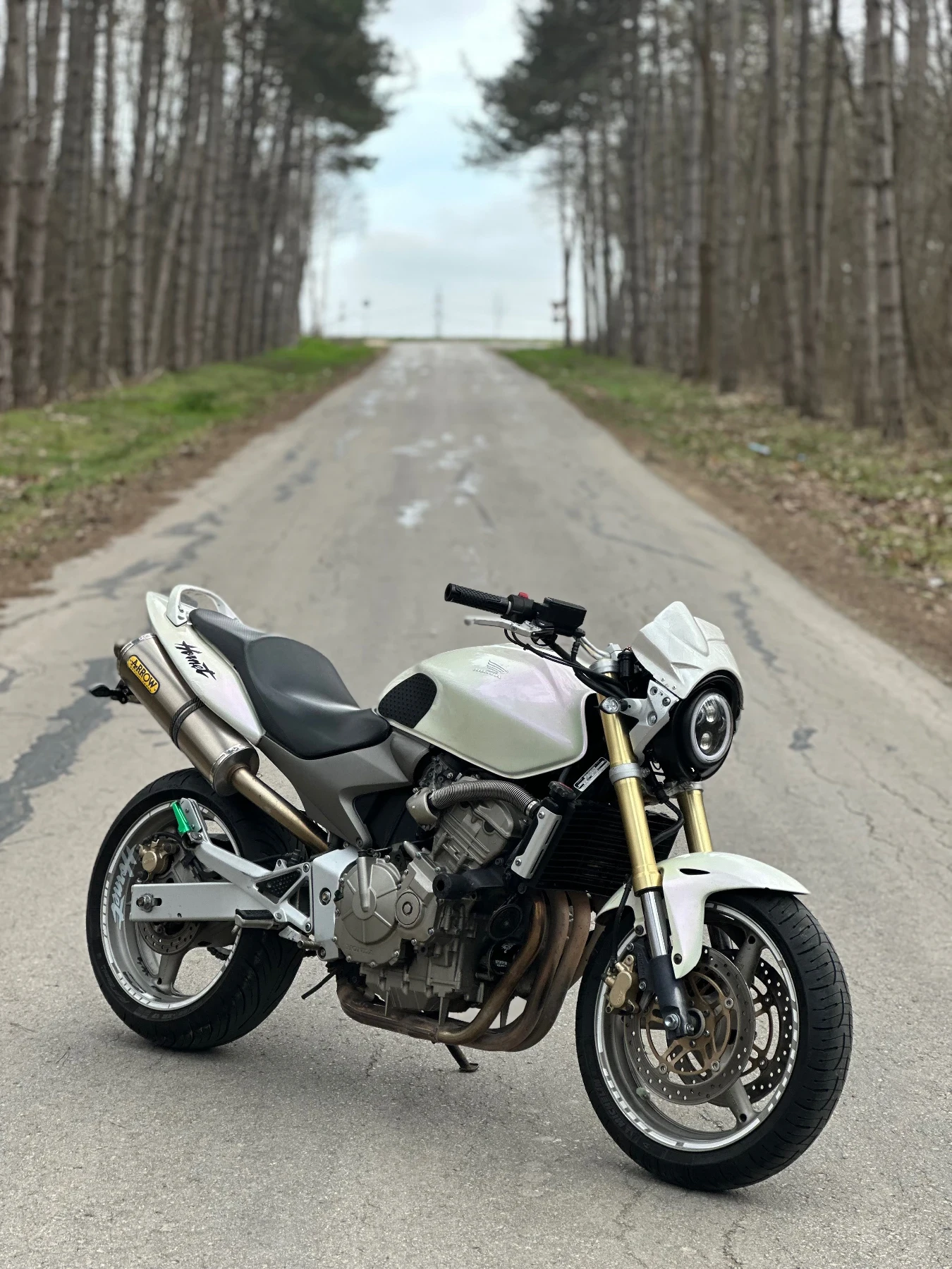 Honda Hornet 600, снимка 6 - Мотоциклети и мототехника - 54347185