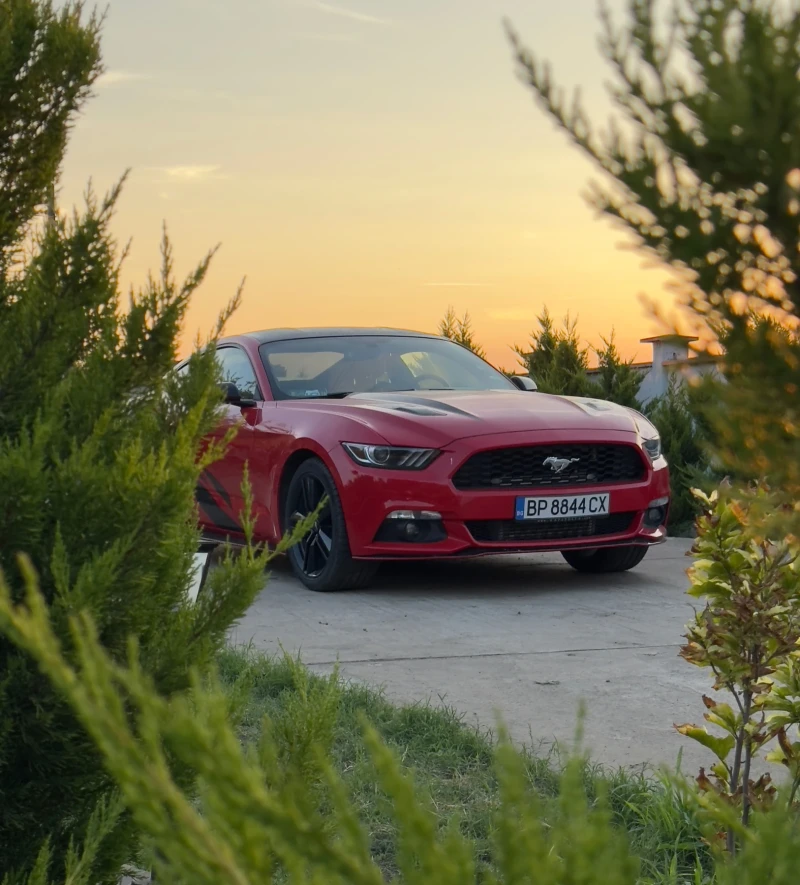 Ford Mustang, снимка 3 - Автомобили и джипове - 52369547