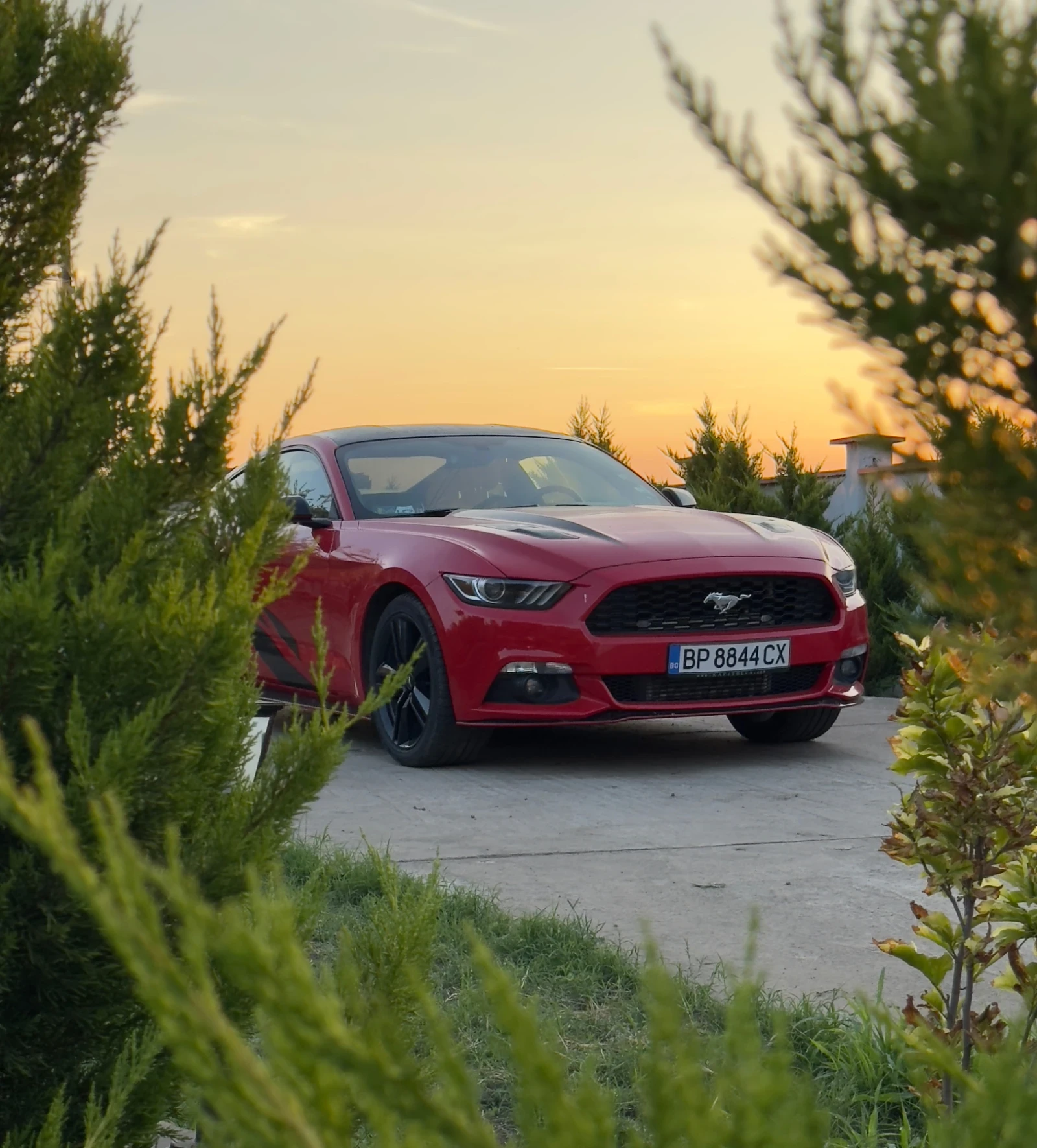 Ford Mustang  - изображение 3