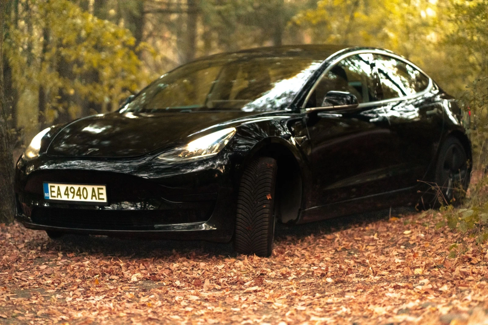 Tesla Model 3 Standard range + ГАРАНЦИЯ, снимка 2 - Автомобили и джипове - 55972781