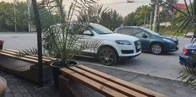 Audi Q7 3.0TDI Quattro Tiptronic S-Line Face-Lift 7-местна - 28880 лв. - 76123784 15