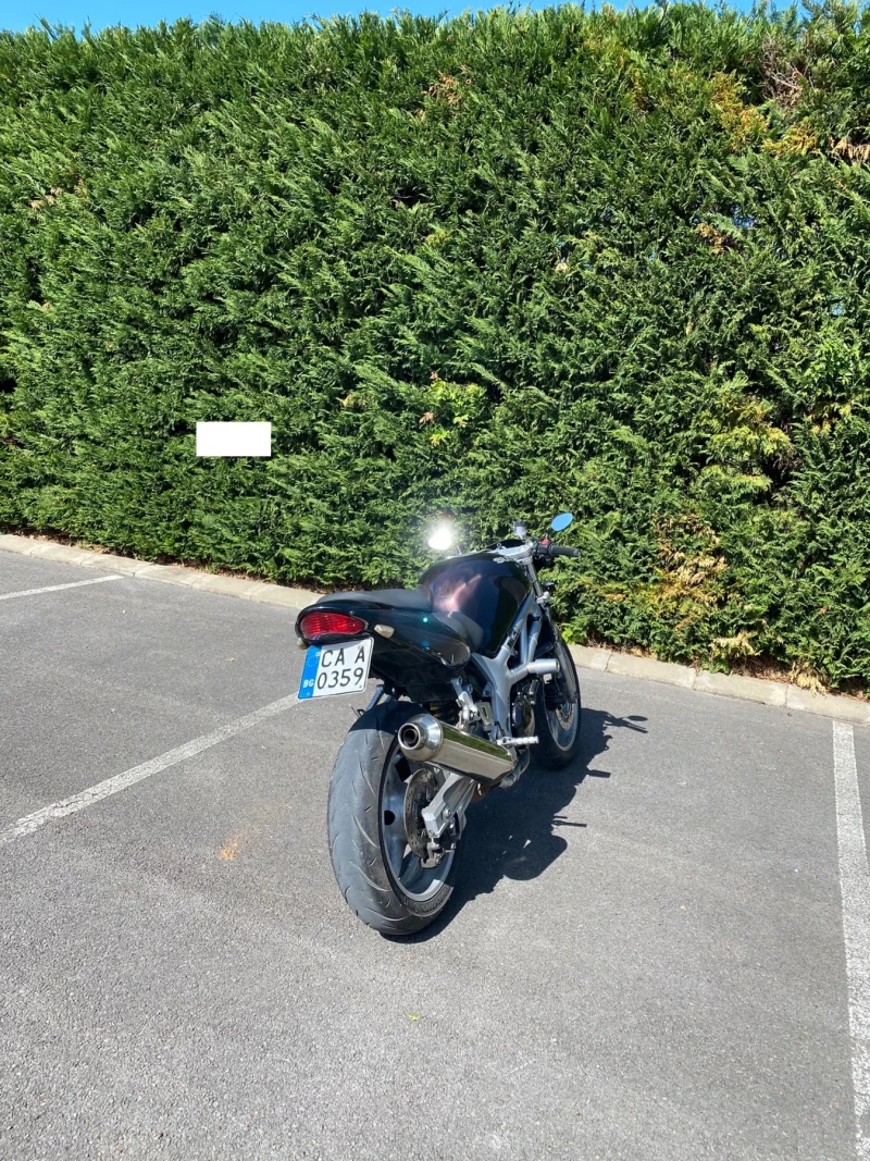 Suzuki SV, снимка 4 - Мотоциклети и мототехника - 51767434