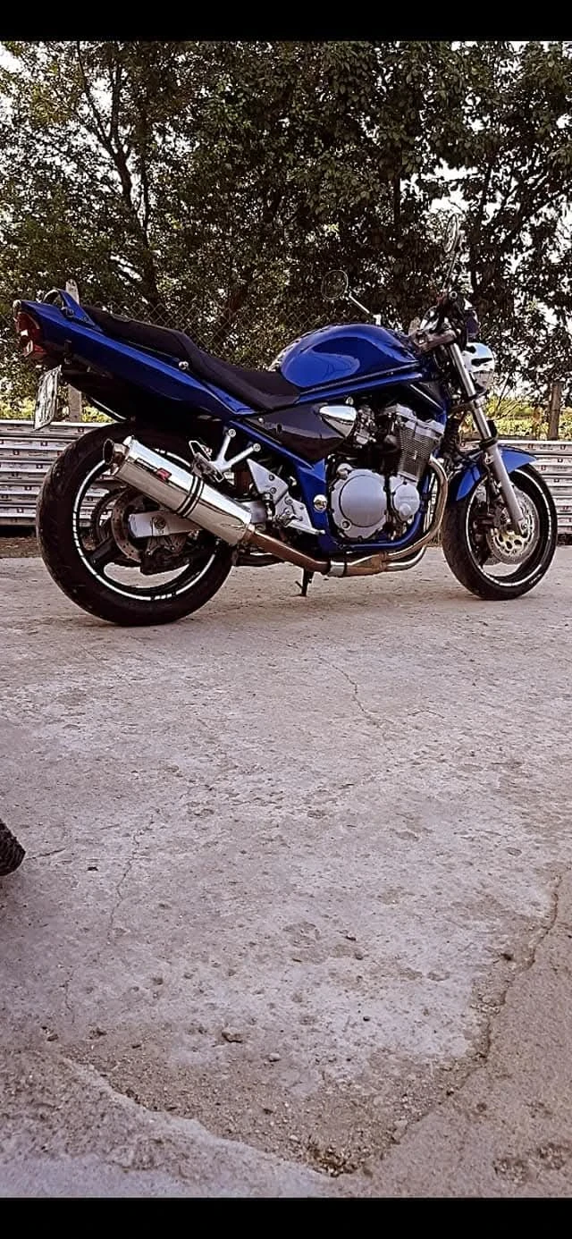 Suzuki Bandit  - изображение 4