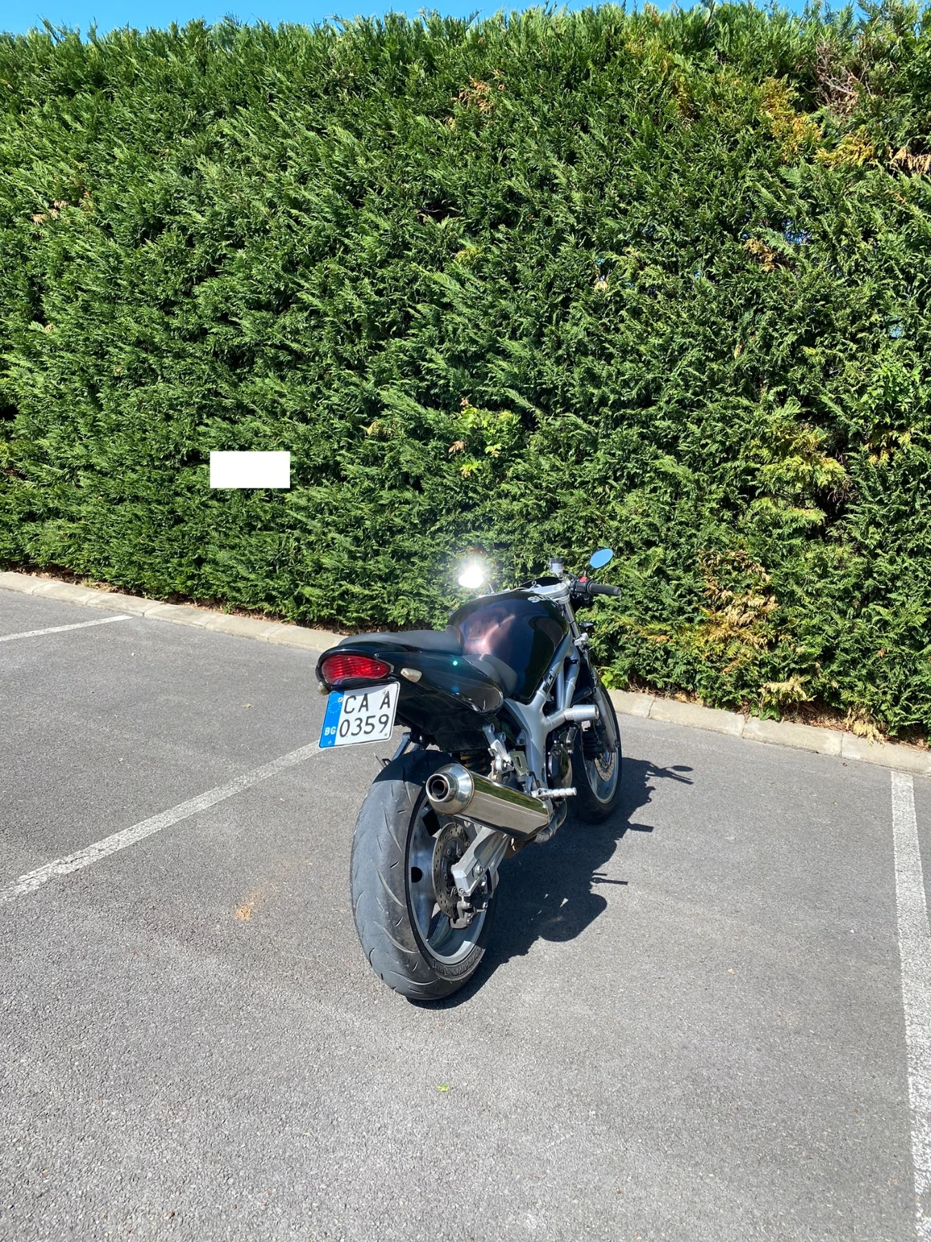 Suzuki SV  - изображение 4