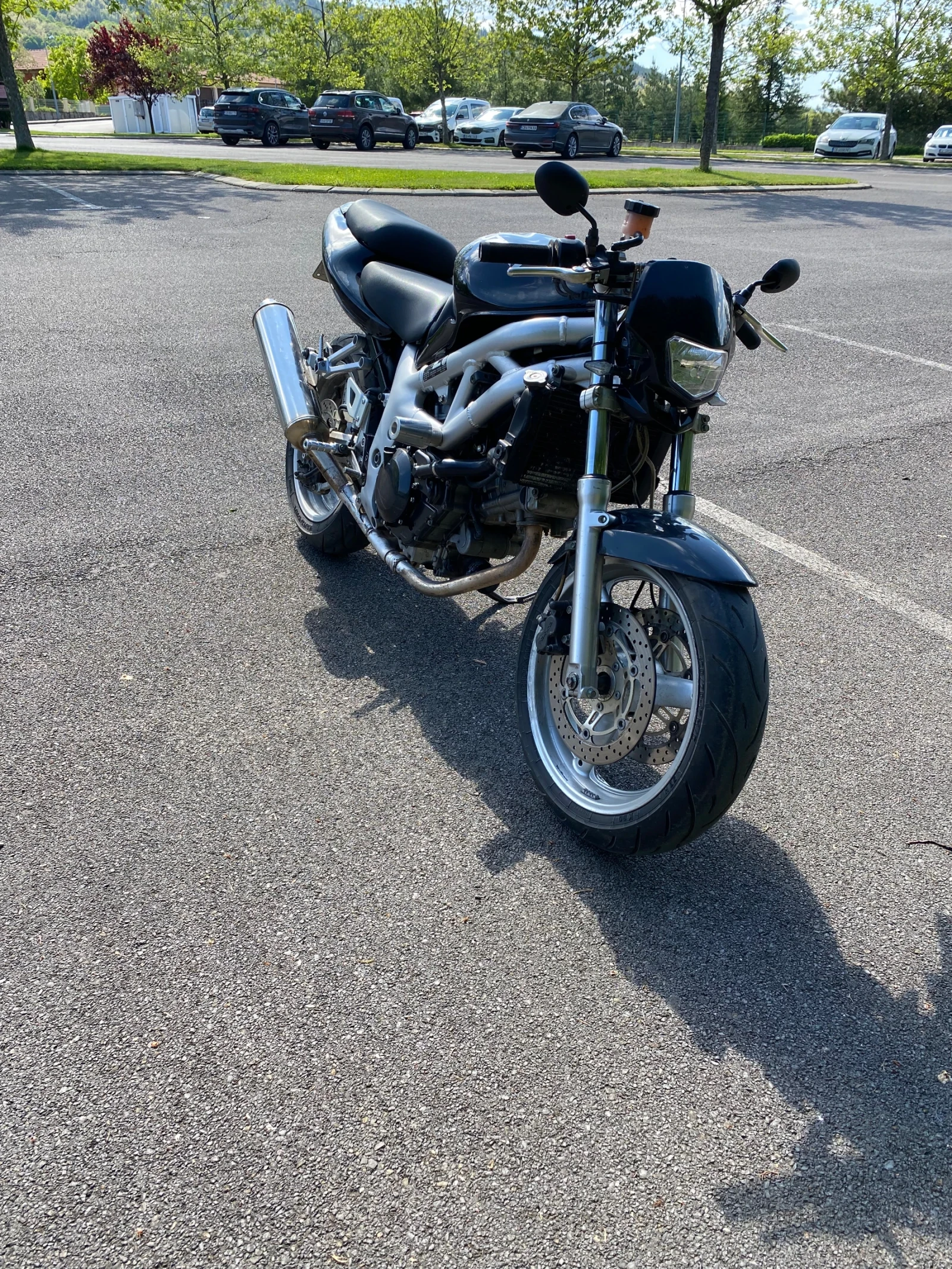 Suzuki SV  - изображение 3