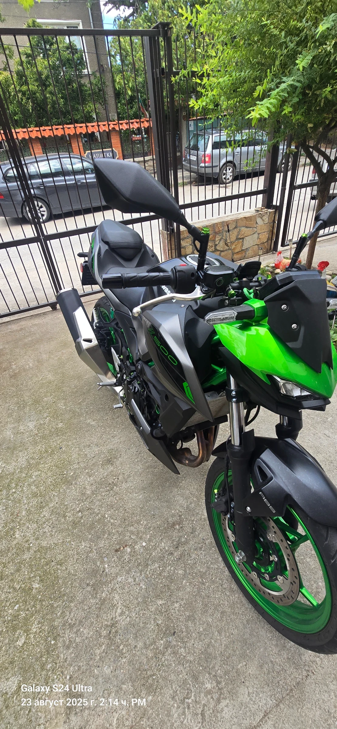 Kawasaki Z  - изображение 2