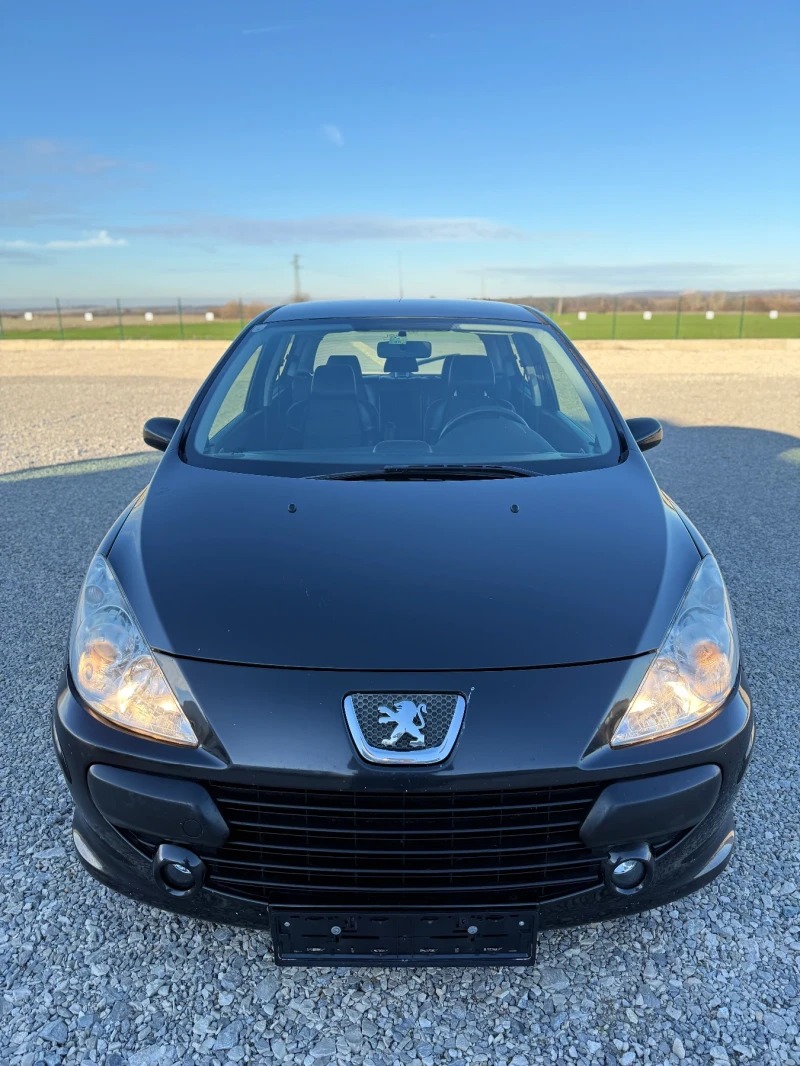 Peugeot 307 1.6HDI FACE, снимка 3 - Автомобили и джипове - 52739121