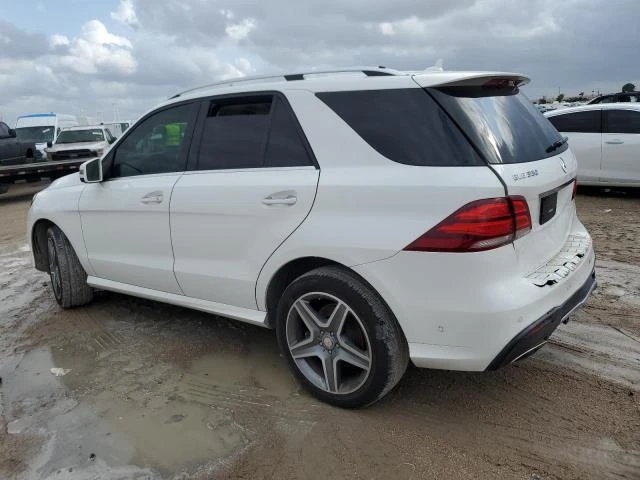 Mercedes-Benz GLE 350 СЕРВИЗНА ИСТОРИЯ, снимка 2 - Автомобили и джипове - 48614548