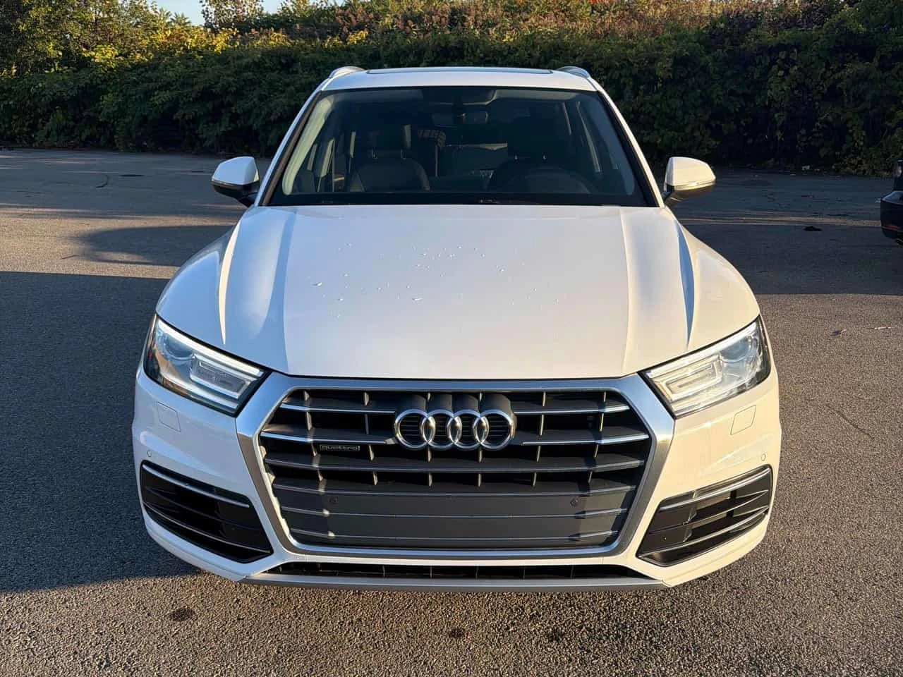 Audi Q5 PROGRESSIV/��������/�������/CARFAX/ | Mobile.bg � ����������� 6