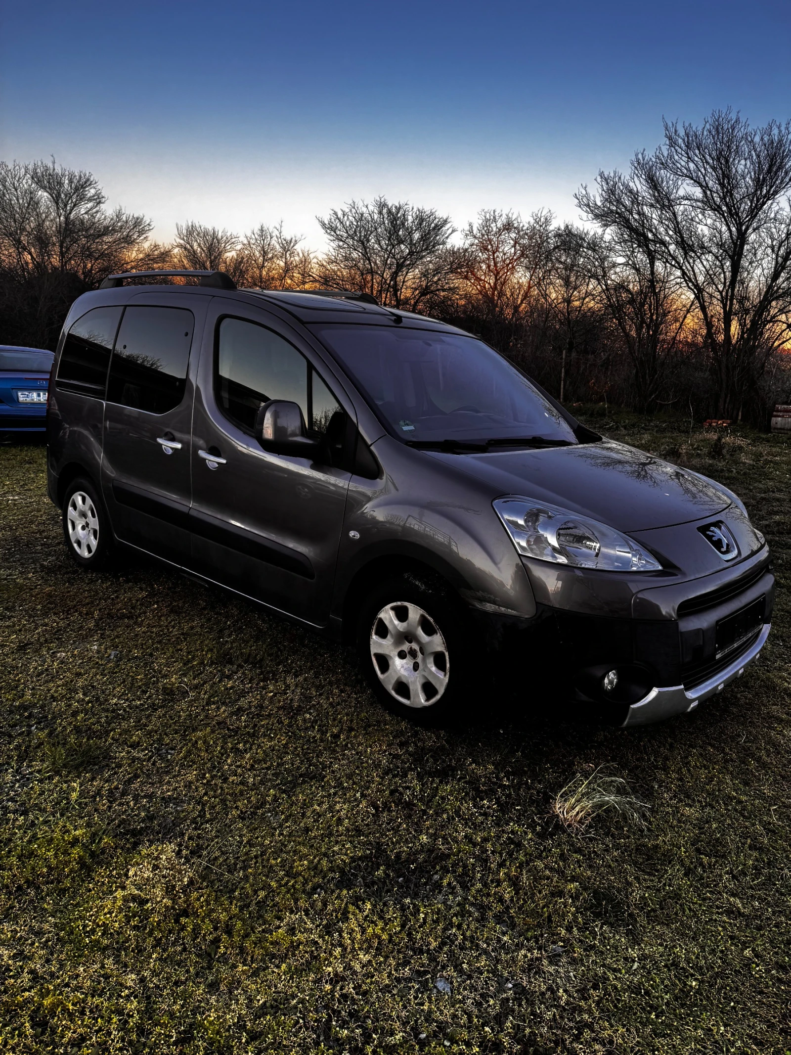 Peugeot Partner Tepee, снимка 1