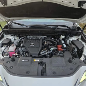 Lexus NX 350h Premium  | Mobile.bg    12
