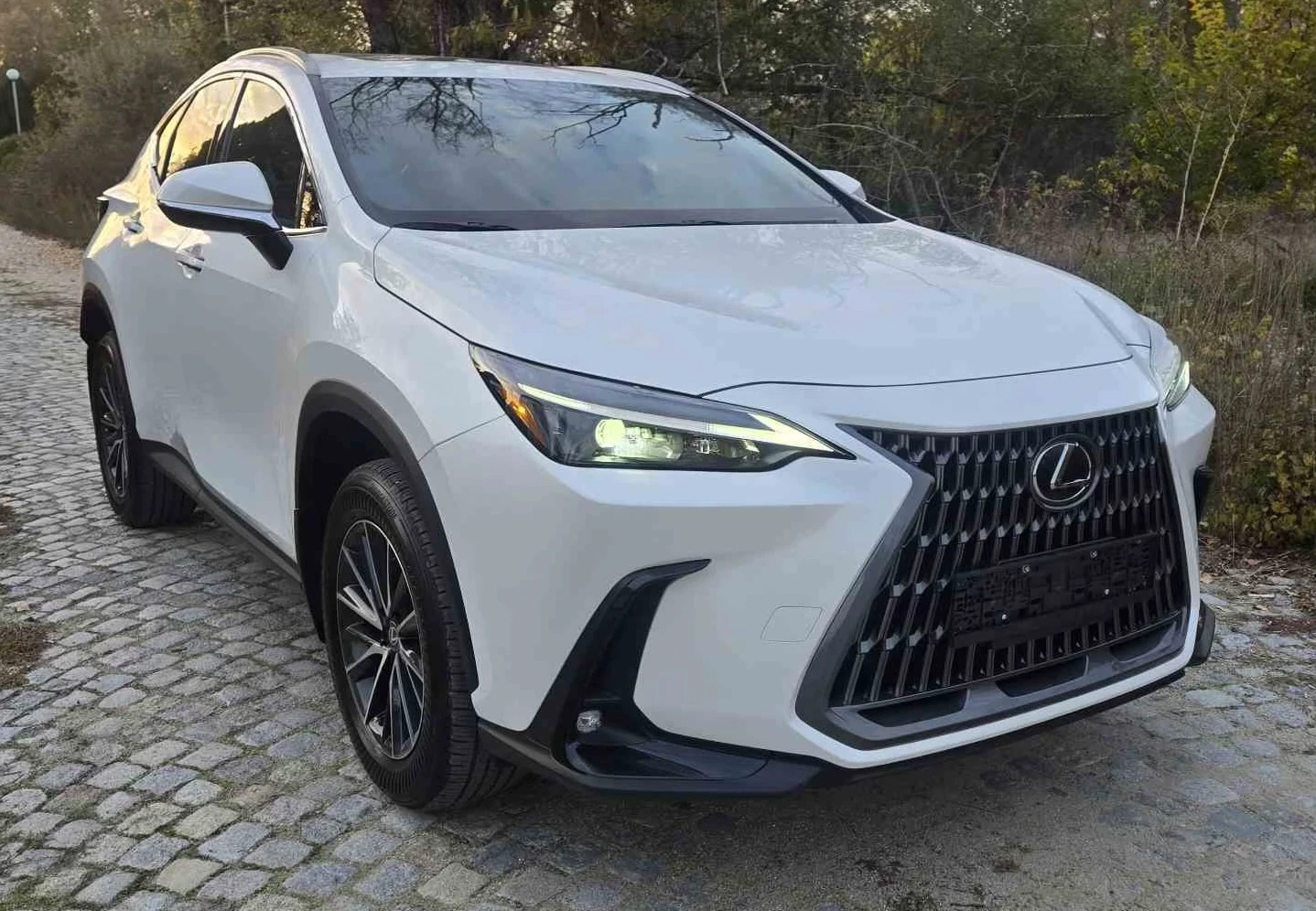 Lexus NX 350h Premium  | Mobile.bg   3