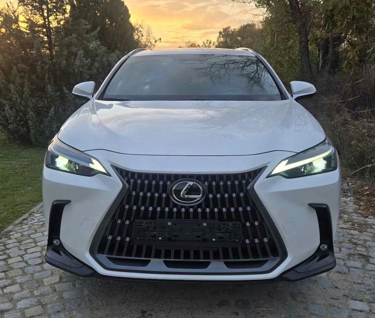 Lexus NX 350h Premium  | Mobile.bg   1
