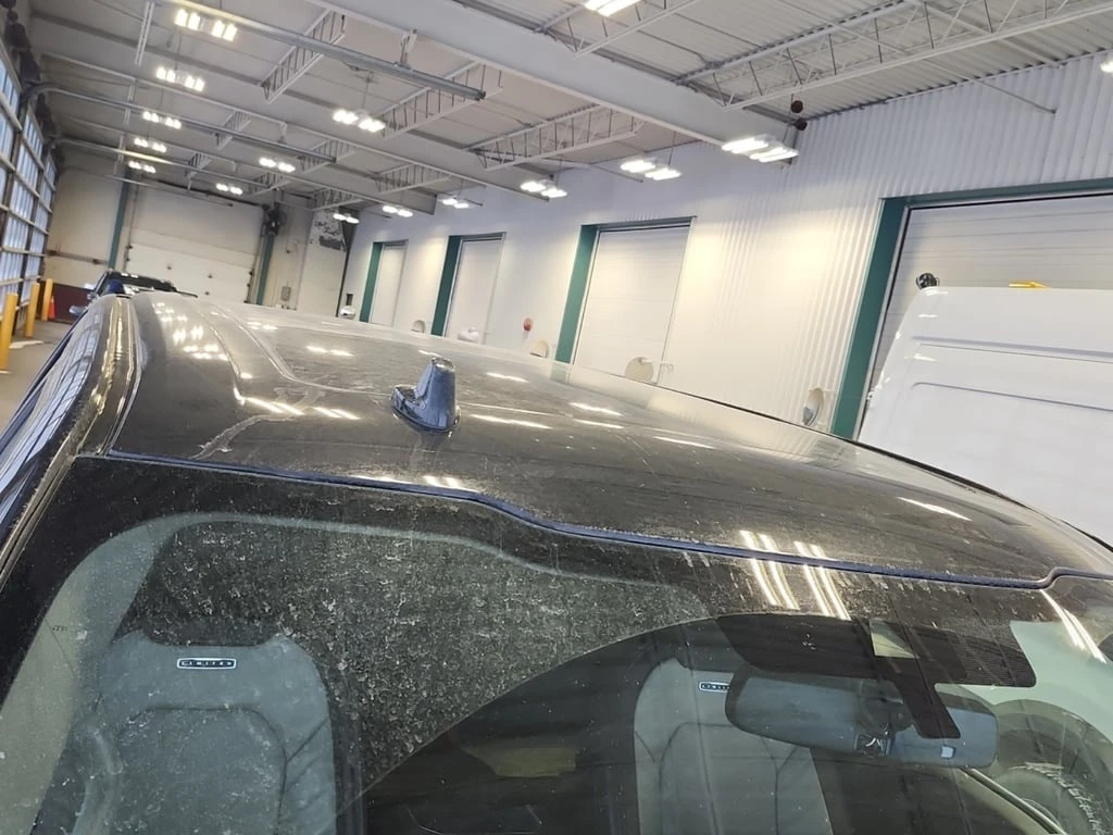 Ford F150 * LIMITED CREW CAB SHORT BED * CARFAX * ���� �� �� | Mobile.bg � ����������� 17