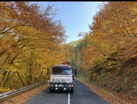 ������ Steyr 17S23