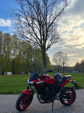 Kawasaki 650 Z 50th  Anniversary, снимка 2