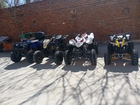 Bashan BS, снимка 1