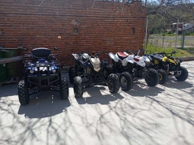Bashan BS, снимка 3