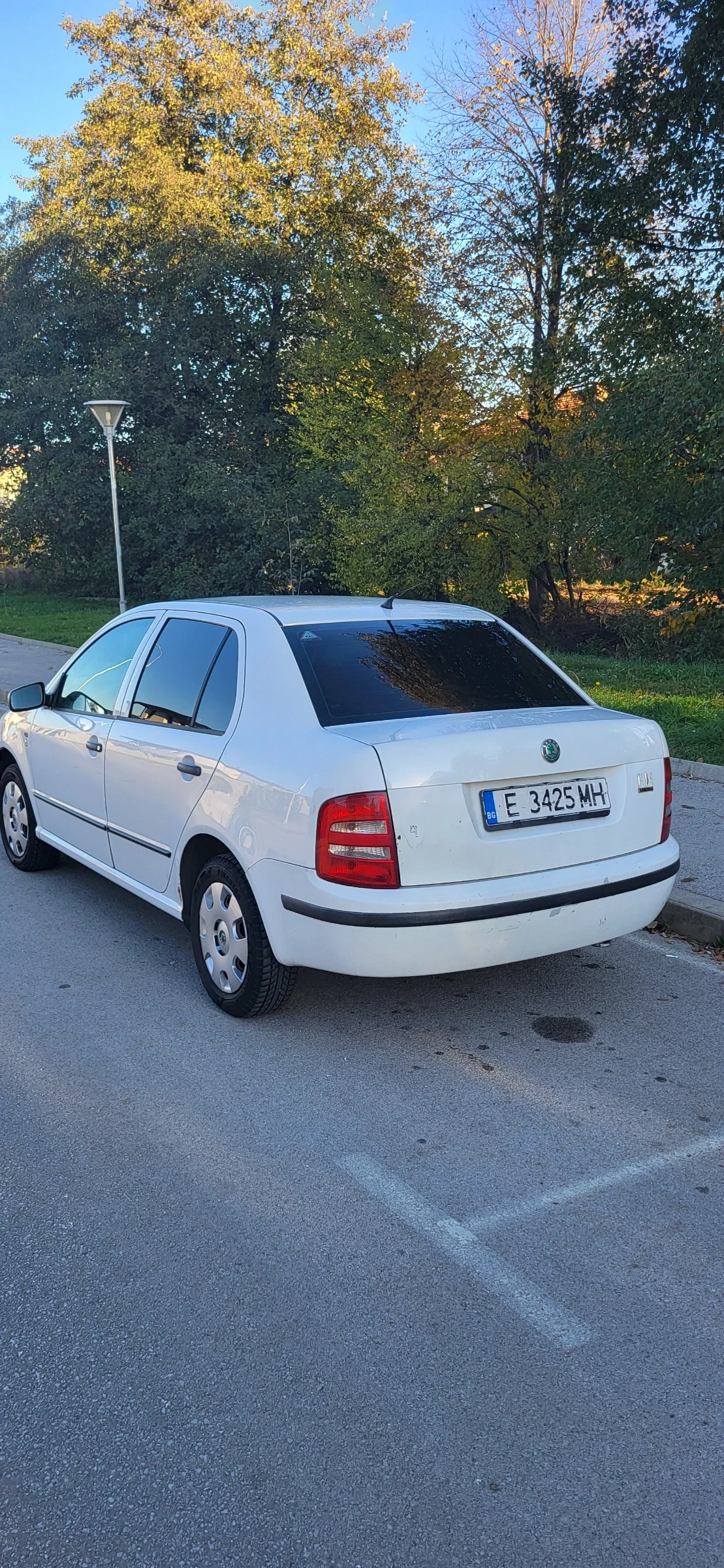 Skoda Fabia Газ - изображение 6