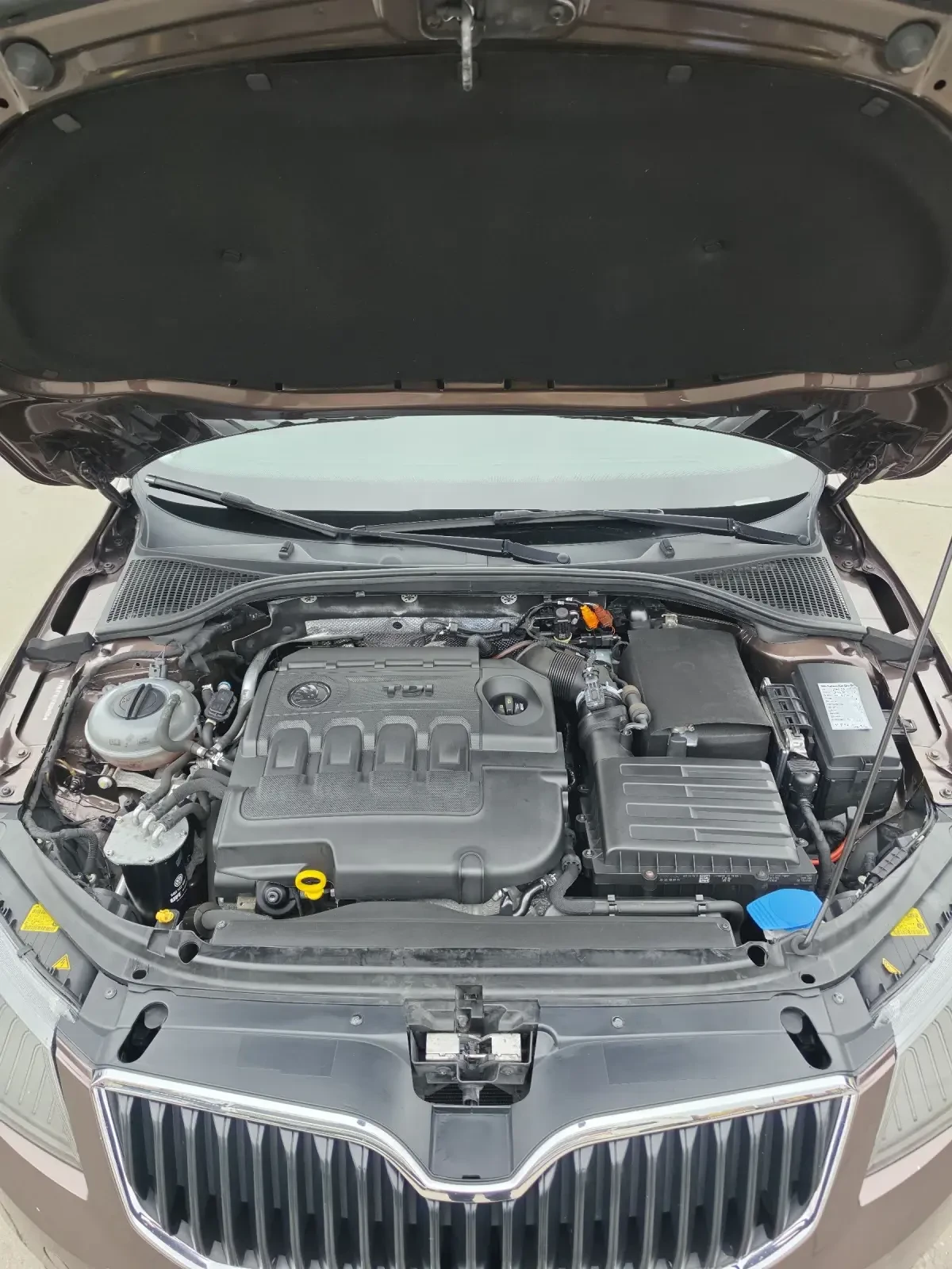 Skoda Octavia 1.6 TDI 105к.с., снимка 14 - Автомобили и джипове - 54042490