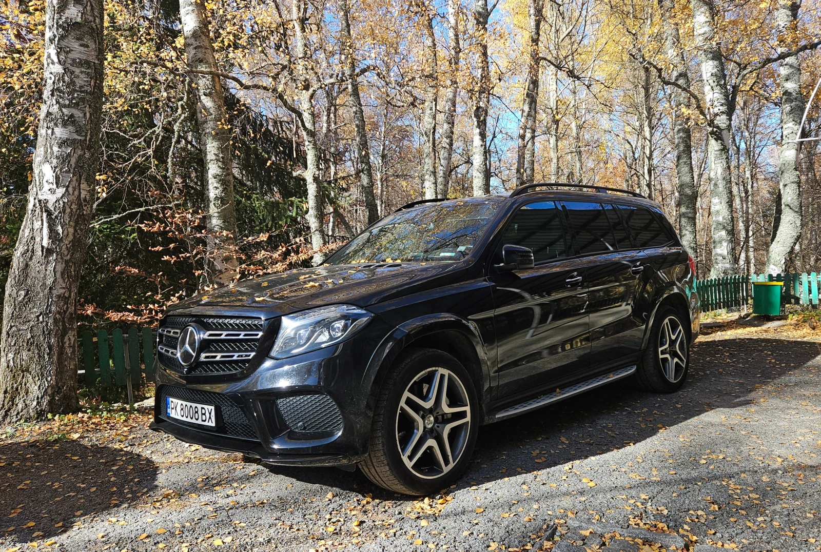 Mercedes-Benz GLS 500 AMG 9ск.B&O - изображение 7