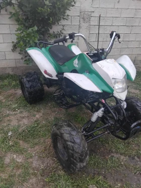 Bashan BS 250 4- 5- | Mobile.bg    3