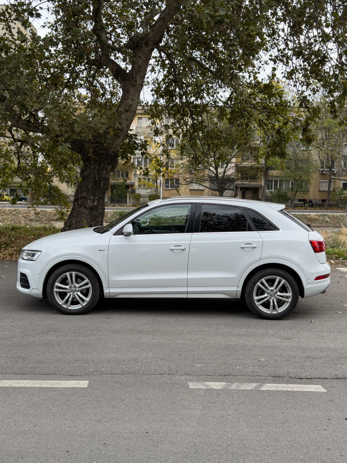 Audi Q3 S-LINE - изображение 4