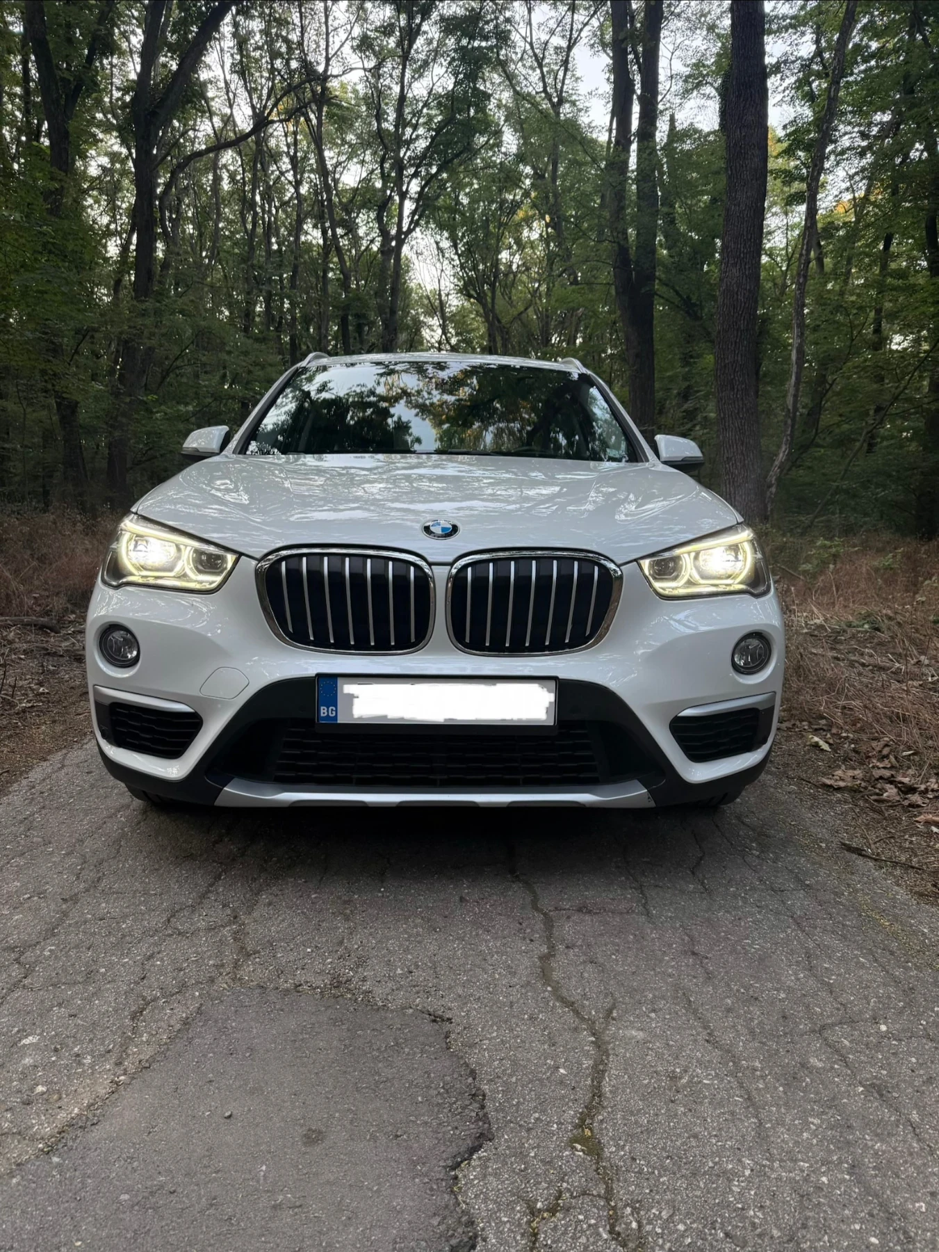 BMW X1 25d / Сервизна история / Много екстри, снимка 2 - Автомобили и джипове - 56173486
