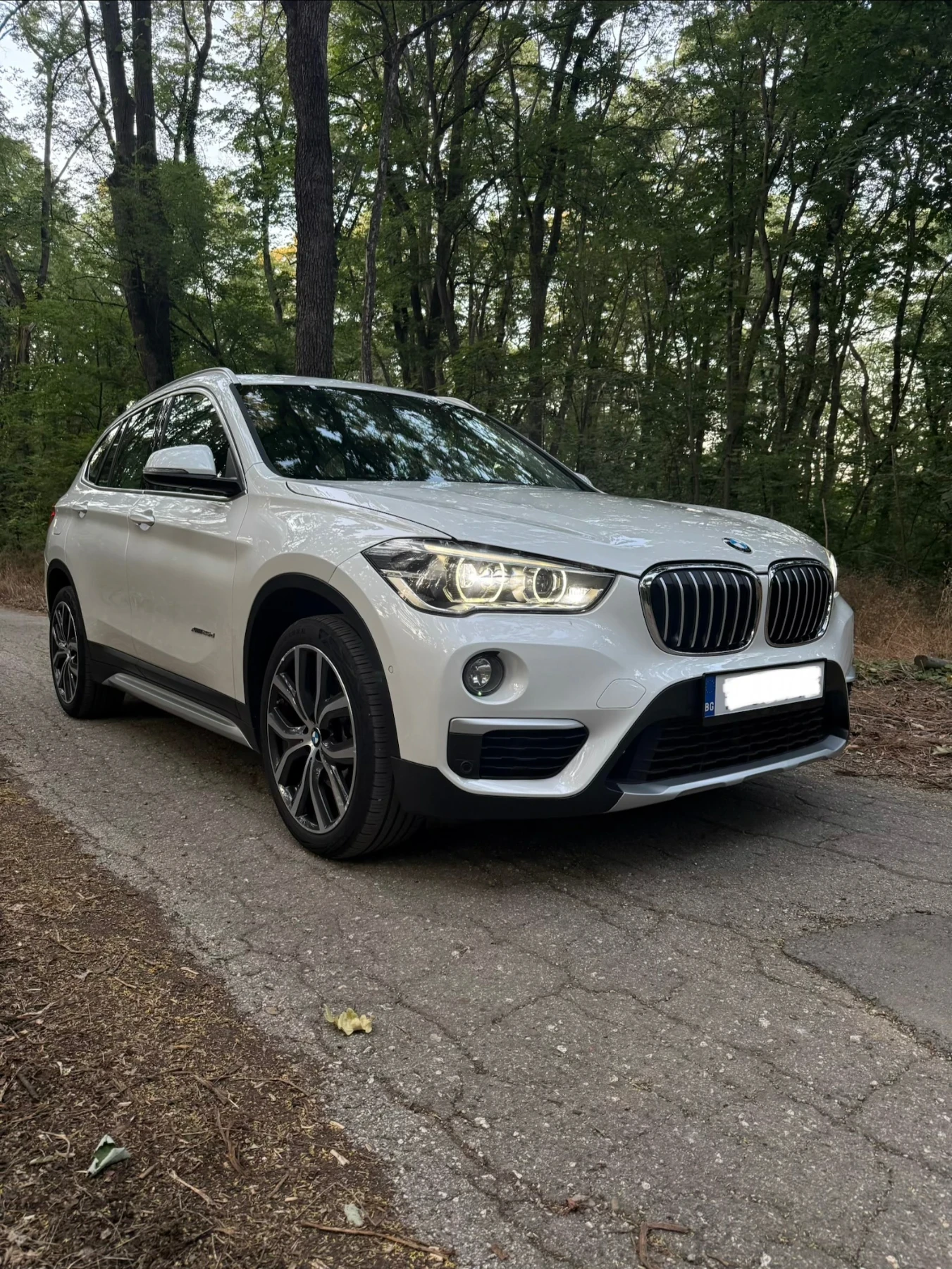 BMW X1 25d / Сервизна история / Много екстри, снимка 3 - Автомобили и джипове - 56173486