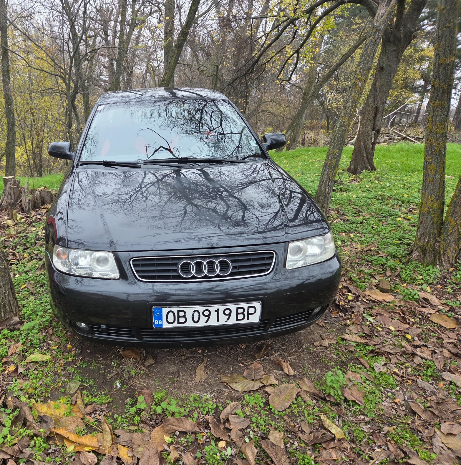 Audi A3, снимка 1