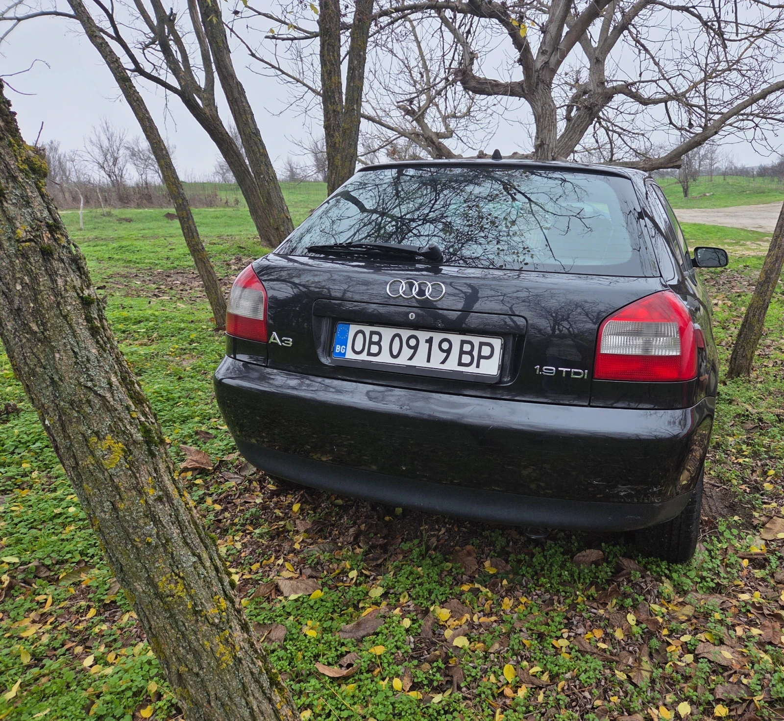 Audi A3  - изображение 2