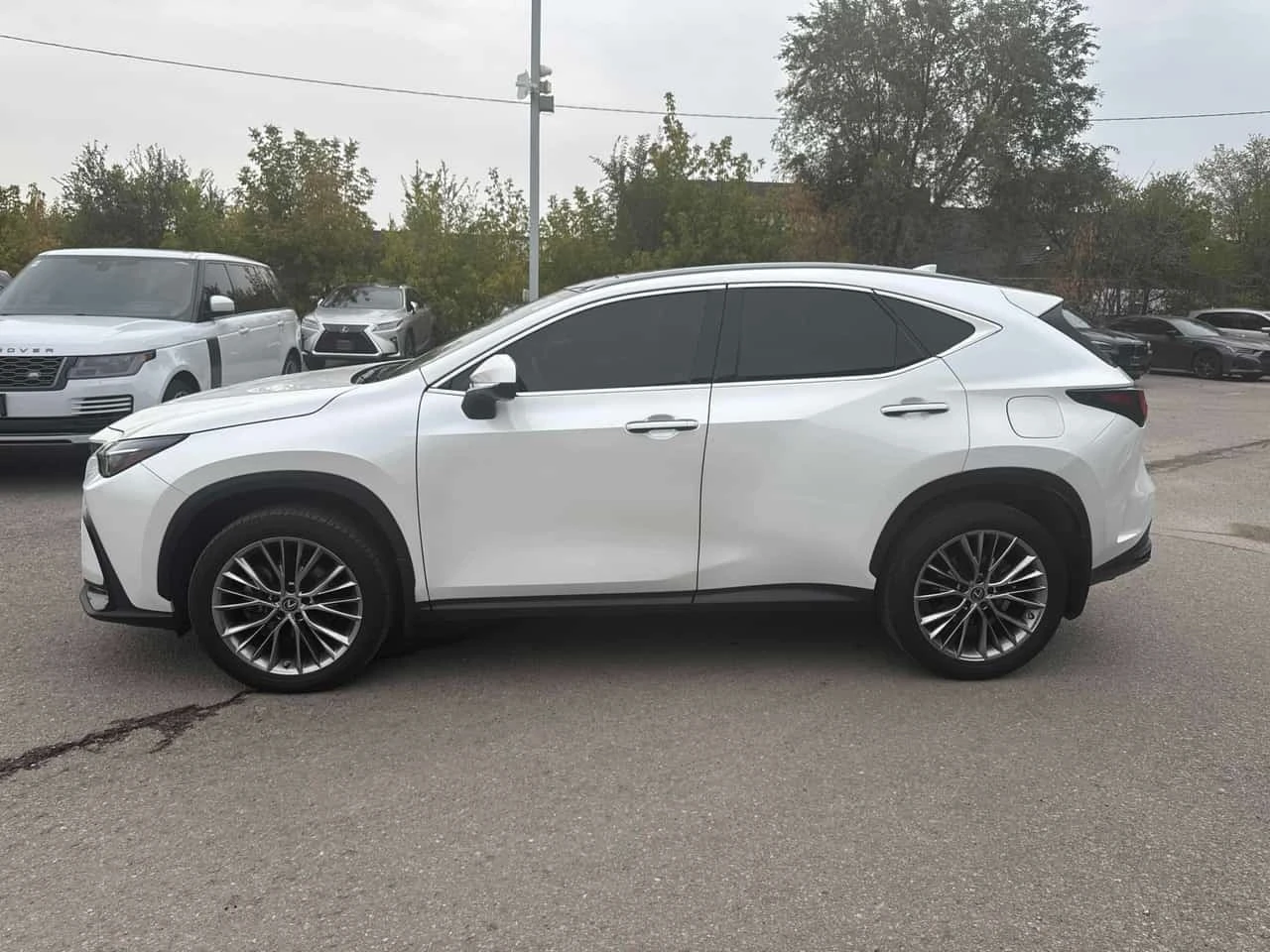 Lexus NX 350 | CARFAX | БЕЗ ИНЦИДЕНТИ, снимка 3 - Автомобили и джипове - 56362106