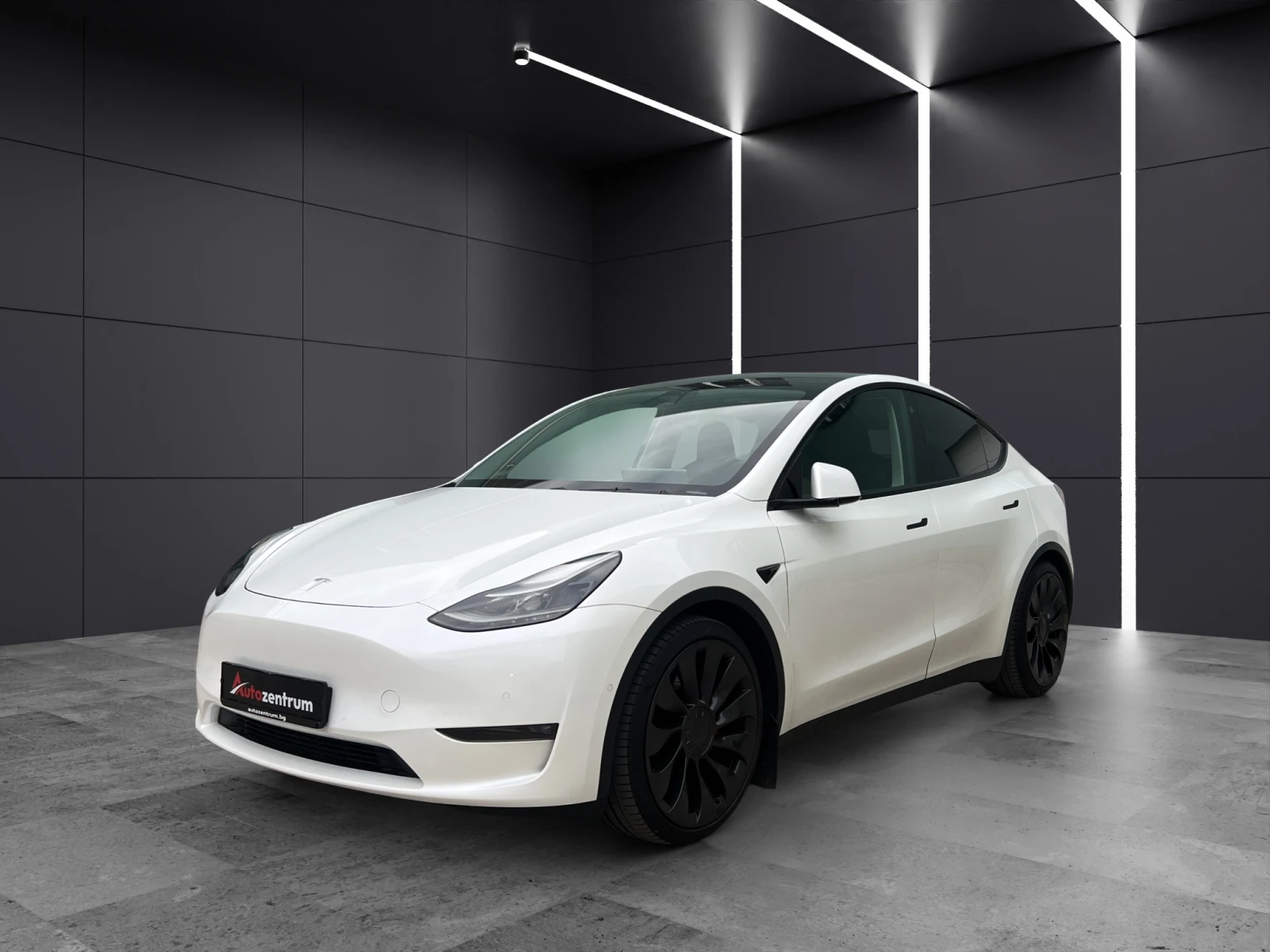 Tesla Model Y Performance  - изображение 2