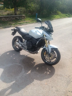 Honda Hornet 600 - изображение 1